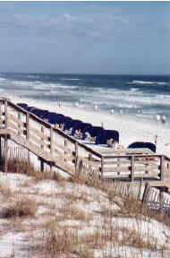 beach3.jpg (10233 bytes)